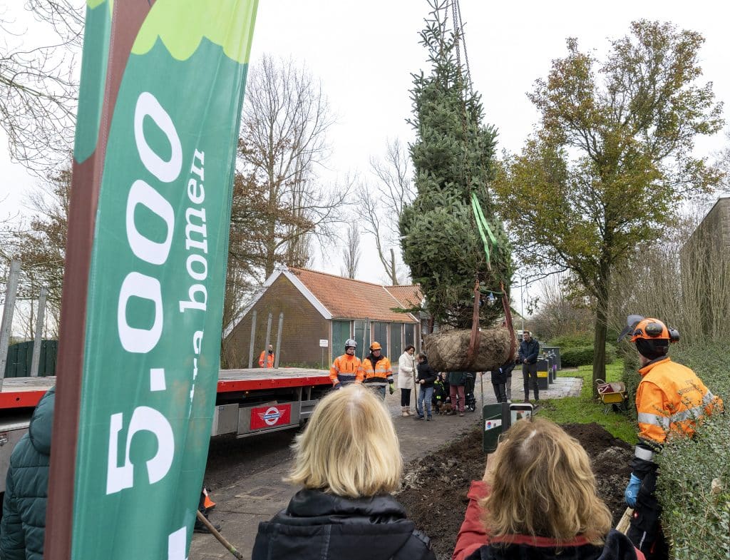 Duurzame kerstboom geplant in Markenbinnen Gemeente Alkmaar