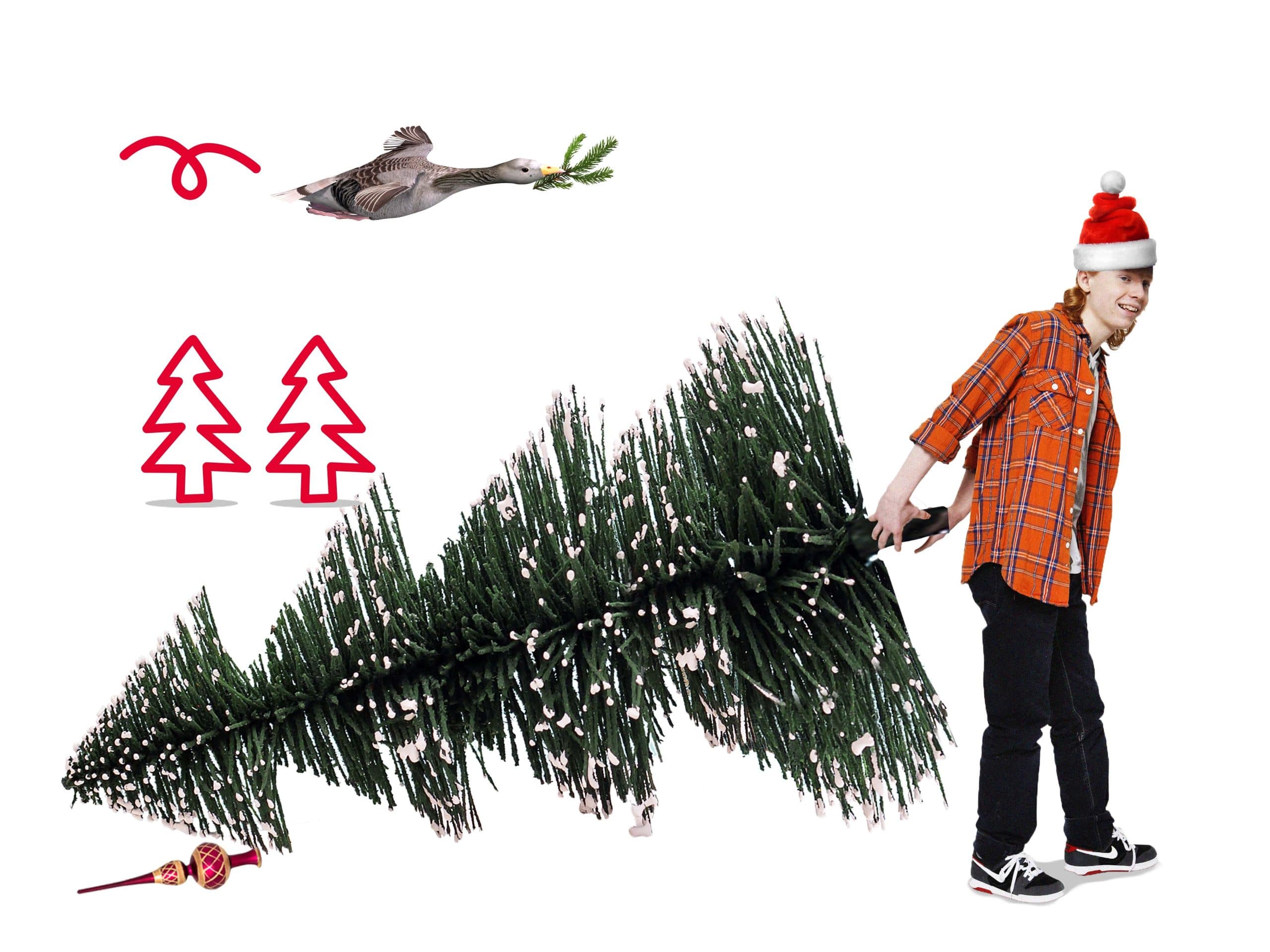 Inzameling kerstbomen start op 2 januari 2024