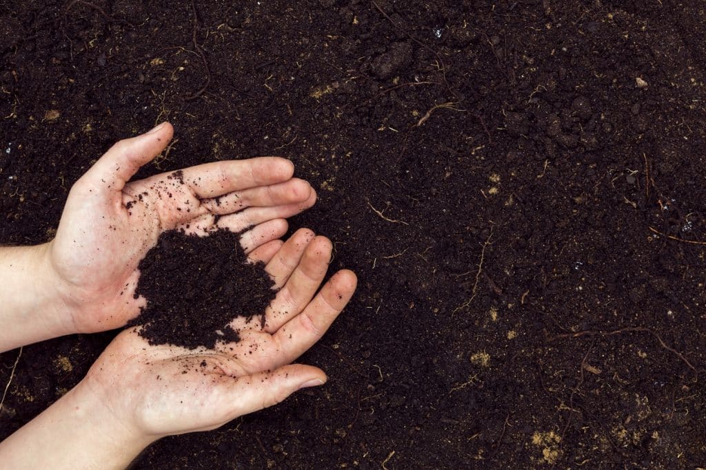 Twee handen scheppen wat compost op uit een berg compost
