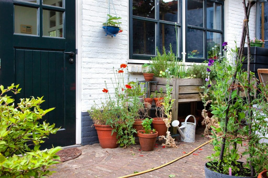 Een huis met veel planten in potten en bakken.