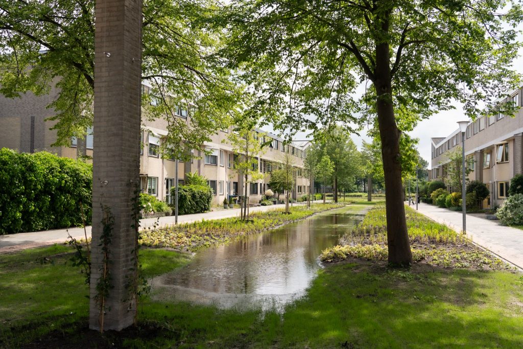 Een straat met huizen, meerdere bomen, veel groen en een wadi. Een wadi zorgt dat water langzaam wordt opgenomen door de bodem.