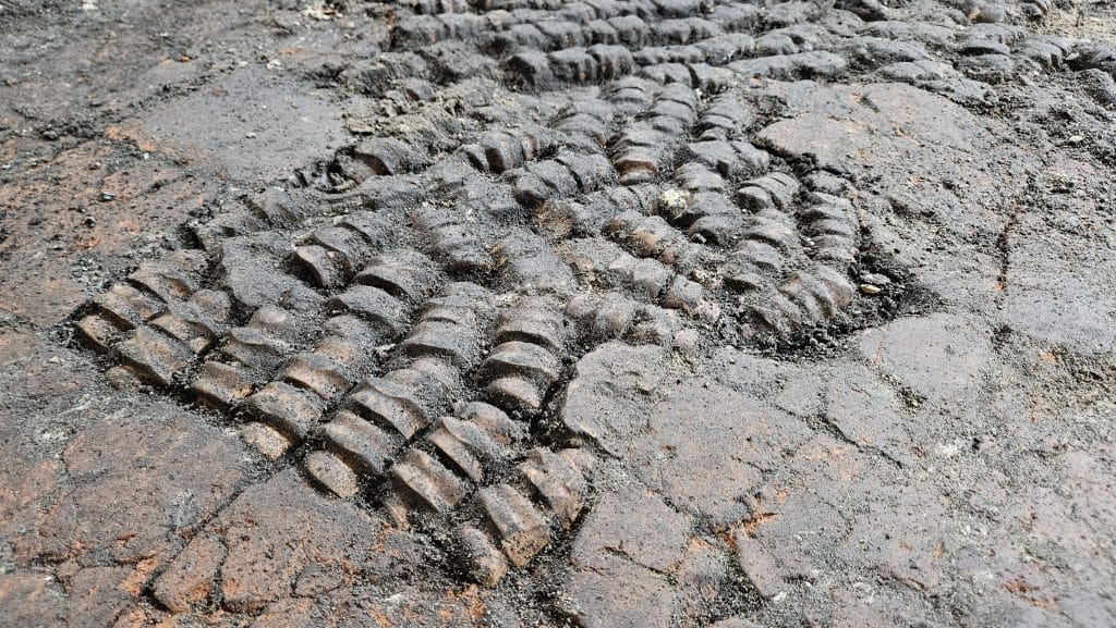 Foto van een plavuizenvloer waarbij een gat in de vloer is opgevuld met botten. Rundbeenderen blijken het te zijn. De foto is gemaakt door team Archeologie van de gemeente Alkmaar.