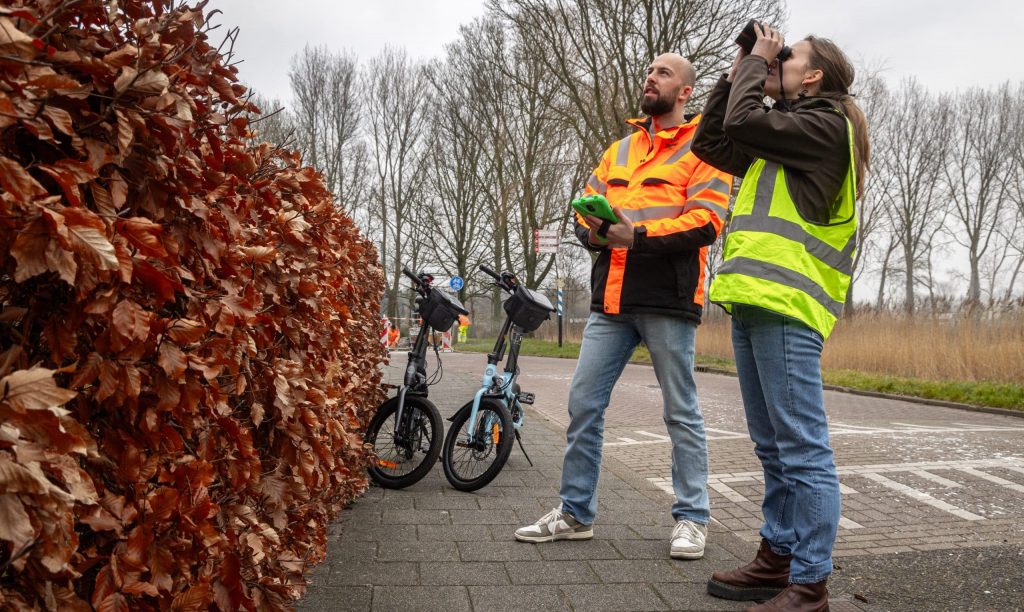 Twee onderzoekers van Bureau Endemica kijken met verrekijkers of ze vogels en vleermuizen zien.