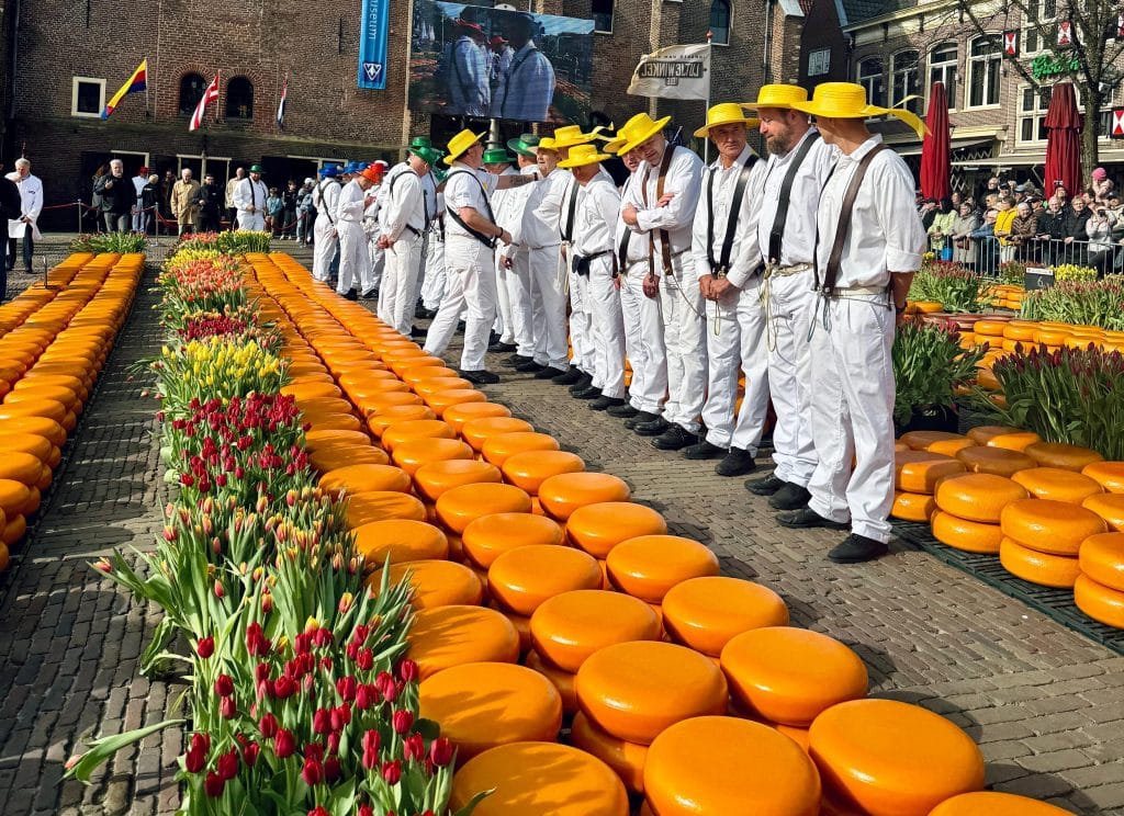 Kaasdragers op de kaasmarkt
