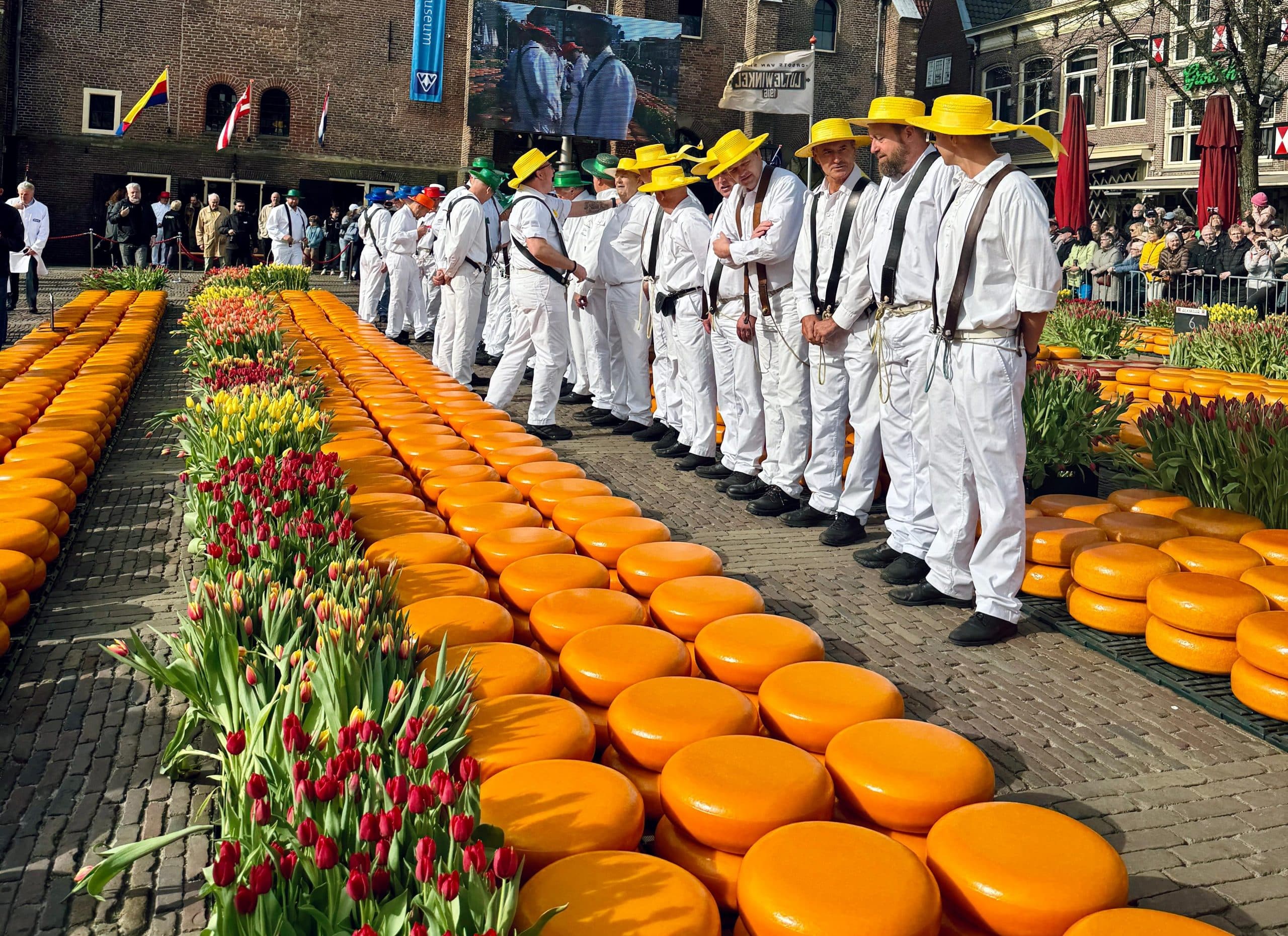 Kaasdragers op de kaasmarkt
