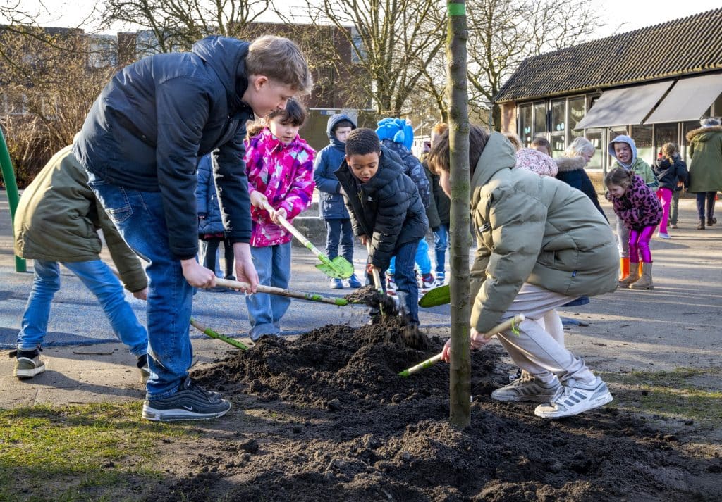 Kinderen die op schoolplein aan het werk zijn met groen en natuur. Boomplanten op Basisschool De Vlieger in Alkmaar