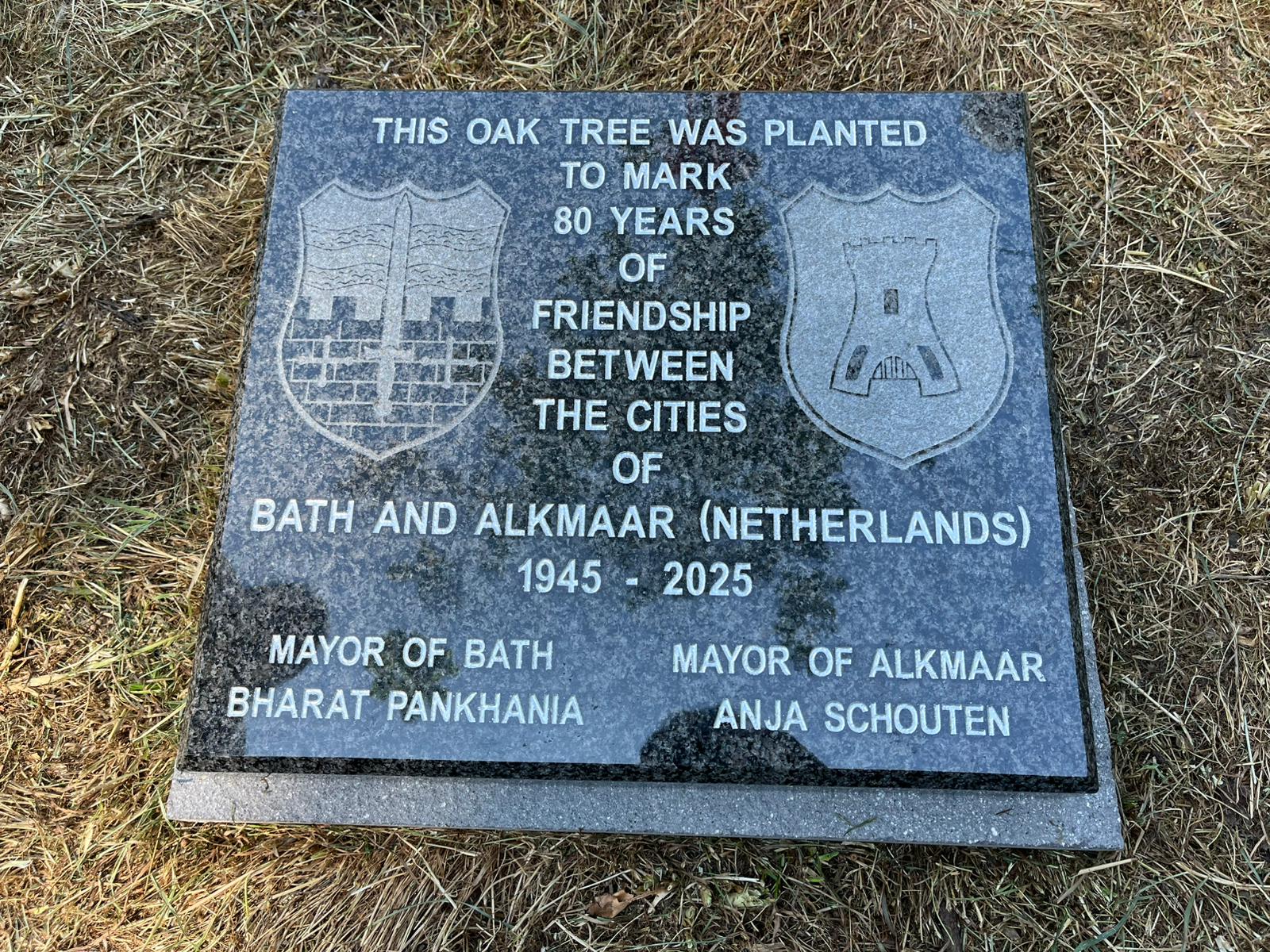 Een herdenkingsplaat, waarop staat: "Deze eikenboom is geplant ter ere van 80 jaar vriendschap tussen de steden Bath en Alkmaar (Nederland). 1945 - 2025