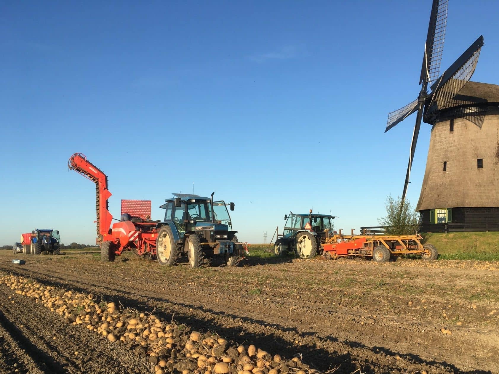 Trekker die oogst binnenhaalt op het land in de Schermer