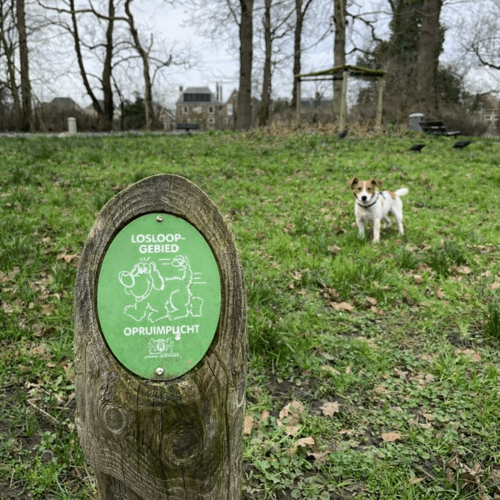 Groen bordje met de tekst ‘Losloopgebied – opruimplicht’ in een park, met op de achtergrond een kleine hond in het gras.